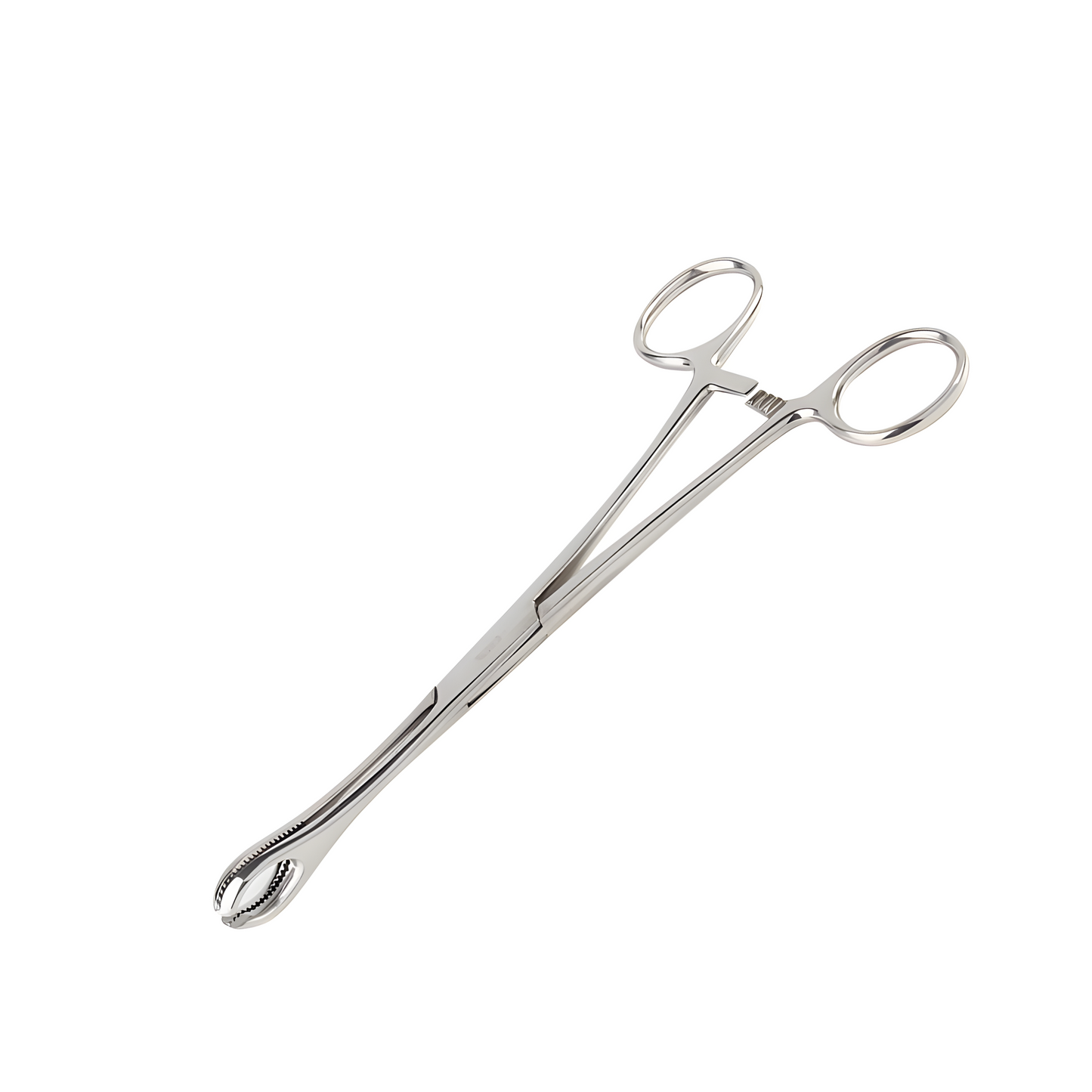 Tang Forester (Forceps)